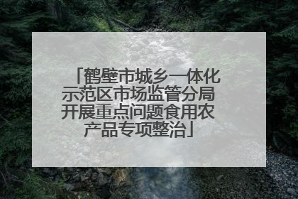 鹤壁市城乡一体化示范区市场监管分局开展重点问题食用农产品专项整治