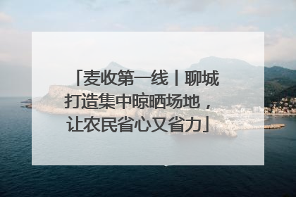 麦收第一线丨聊城打造集中晾晒场地，让农民省心又省力
