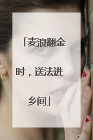 麦浪翻金时，送法进乡间