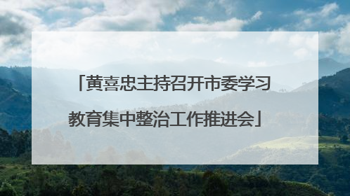 黄喜忠主持召开市委学习教育集中整治工作推进会
