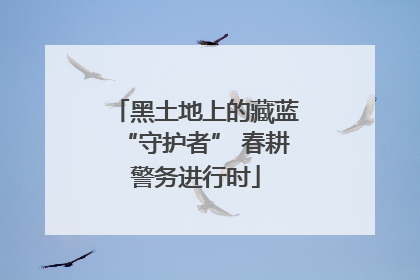 黑土地上的藏蓝“守护者” 春耕警务进行时