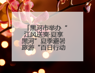 黑河市举办“江风送爽·夏享黑河”夏季避暑旅游“百日行动”新闻发布会