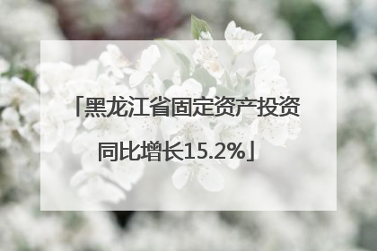黑龙江省固定资产投资同比增长15.2%