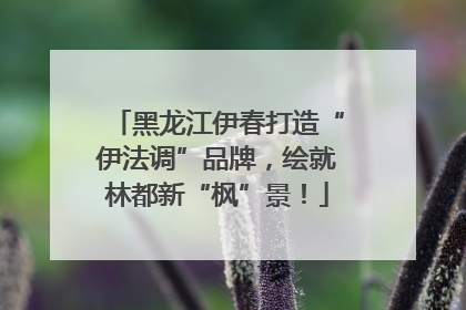 黑龙江伊春打造“伊法调”品牌，绘就林都新“枫”景！