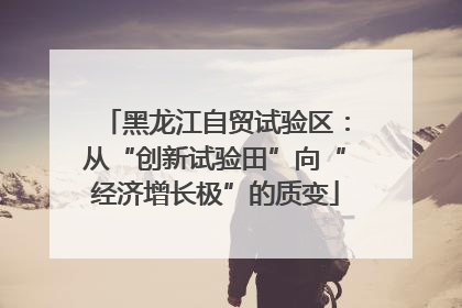 黑龙江自贸试验区：从“创新试验田”向“经济增长极”的质变
