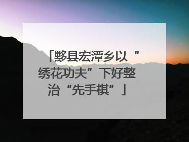 黟县宏潭乡以“绣花功夫”下好整治“先手棋”