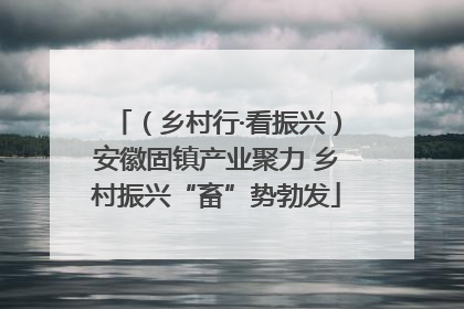 （乡村行·看振兴）安徽固镇产业聚力 乡村振兴“畜”势勃发