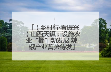 （乡村行·看振兴）山西天镇：设施农业“棚”勃发展 辣椒产业蓄势待发