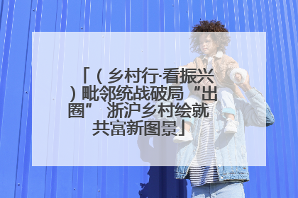 （乡村行·看振兴）毗邻统战破局“出圈” 浙沪乡村绘就共富新图景