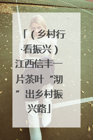 （乡村行·看振兴）江西信丰一片茶叶“沏”出乡村振兴路