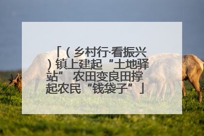 （乡村行·看振兴）镇上建起“土地驿站” 农田变良田撑起农民“钱袋子”