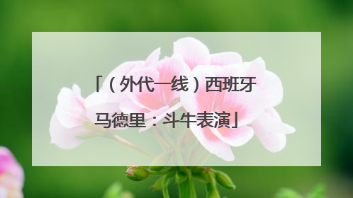 （外代一线）西班牙马德里：斗牛表演