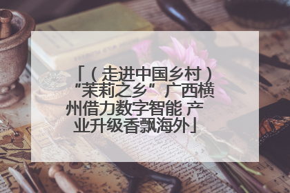 （走进中国乡村）“茉莉之乡”广西横州借力数字智能 产业升级香飘海外