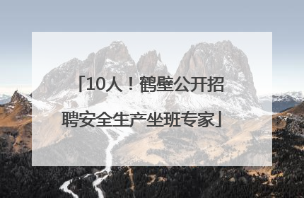 10人！鹤壁公开招聘安全生产坐班专家