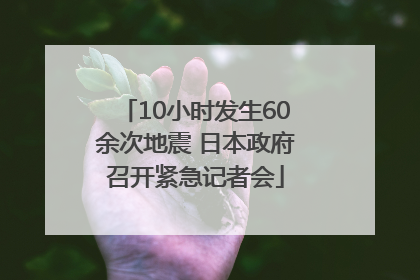 10小时发生60余次地震 日本政府召开紧急记者会