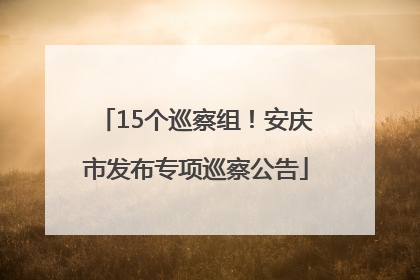 15个巡察组！安庆市发布专项巡察公告