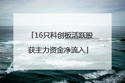 16只科创板活跃股获主力资金净流入