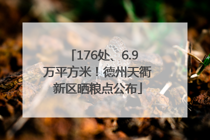 176处、6.9万平方米！德州天衢新区晒粮点公布