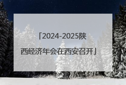 2024-2025陕西经济年会在西安召开