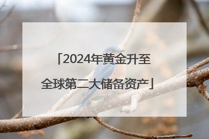 2024年黄金升至全球第二大储备资产