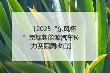2025“东风杯”京堰新能源汽车拉力赛圆满收官