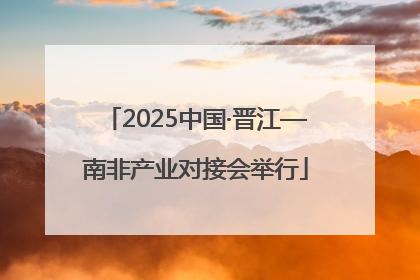 2025中国·晋江—南非产业对接会举行