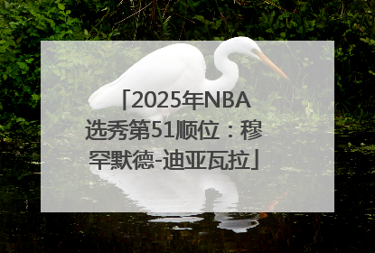 2025年NBA选秀第51顺位：穆罕默德-迪亚瓦拉