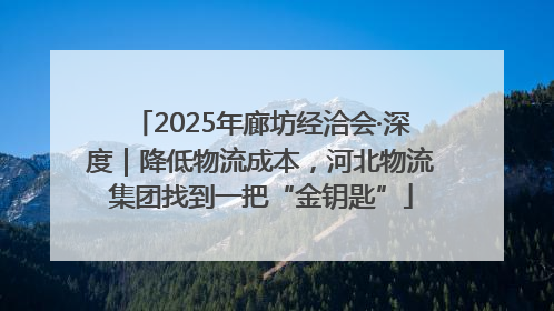 2025年廊坊经洽会·深度｜降低物流成本，河北物流集团找到一把“金钥匙”