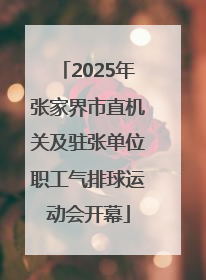 2025年张家界市直机关及驻张单位职工气排球运动会开幕