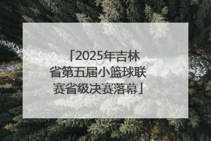 2025年吉林省第五届小篮球联赛省级决赛落幕