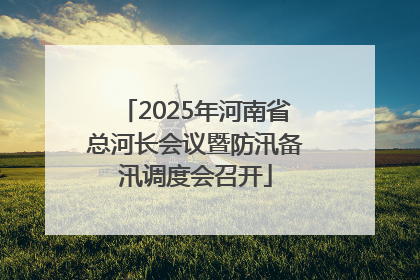 2025年河南省总河长会议暨防汛备汛调度会召开