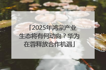 2025年鸿蒙产业生态将有何动向？华为在蓉释放合作机遇