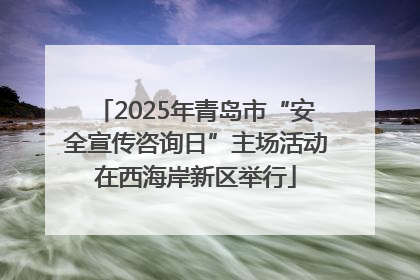 2025年青岛市“安全宣传咨询日”主场活动在西海岸新区举行