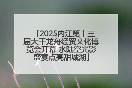 2025内江第十三届大千龙舟经贸文化博览会开幕 水陆空光影盛宴点亮甜城湖