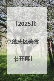 2025北京延庆区美食节开幕