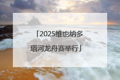 2025维也纳多瑙河龙舟赛举行