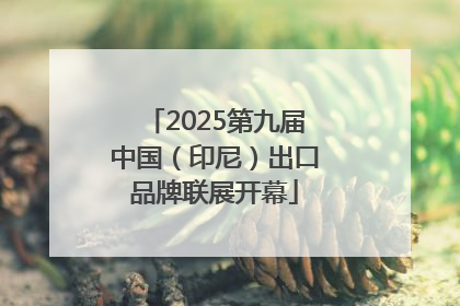 2025第九届中国（印尼）出口品牌联展开幕