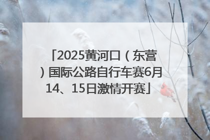 2025黄河口（东营）国际公路自行车赛6月14、15日激情开赛