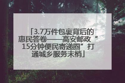 3.7万件包裹背后的惠民答卷——高安邮政“15分钟便民寄递圈”打通城乡服务末梢