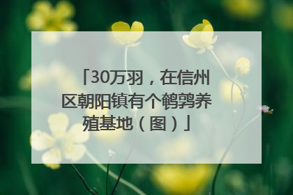 30万羽，在信州区朝阳镇有个鹌鹑养殖基地（图）