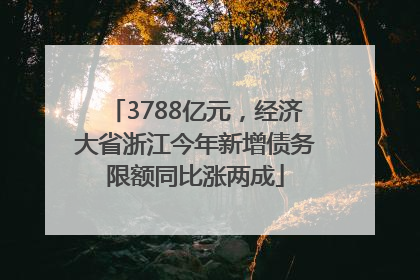 3788亿元，经济大省浙江今年新增债务限额同比涨两成