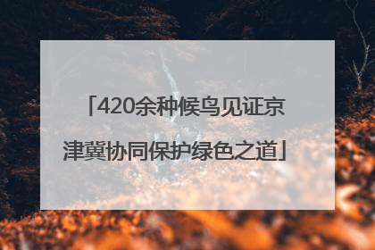 420余种候鸟见证京津冀协同保护绿色之道