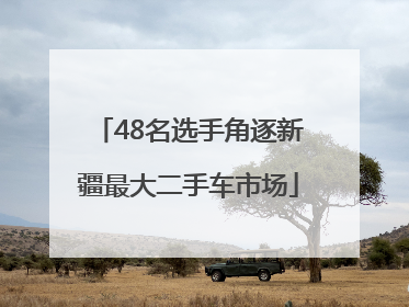 48名选手角逐新疆最大二手车市场