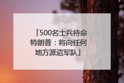 500名士兵待命 特朗普：将向任何地方派遣军队