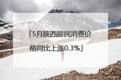5月陕西居民消费价格同比上涨0.3%