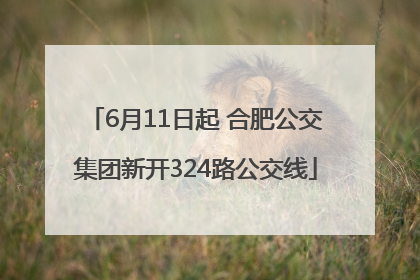 6月11日起 合肥公交集团新开324路公交线