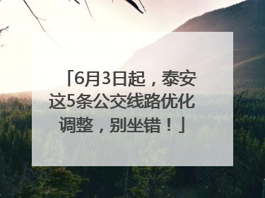 6月3日起，泰安这5条公交线路优化调整，别坐错！