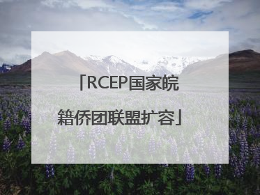 RCEP国家皖籍侨团联盟扩容
