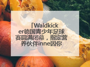 Waldkicker德国青少年足球赛圆满闭幕，指定营养伙伴inne因你陪伴少年前行