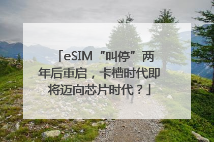 eSIM“叫停”两年后重启，卡槽时代即将迈向芯片时代？